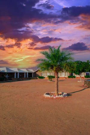 The classic Thar desert of Rajasthan. Also known as Saam desert is located in the city of Jaisalmer.の写真素材