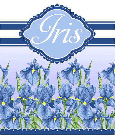 Blue iris Flowersのイラスト素材