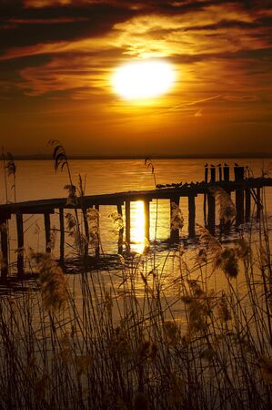 Fantastic sunset at the lake with reeds in the foregroundの写真素材