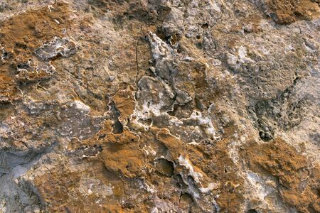 Surface of the rock with yellow, gold and brown tint for background