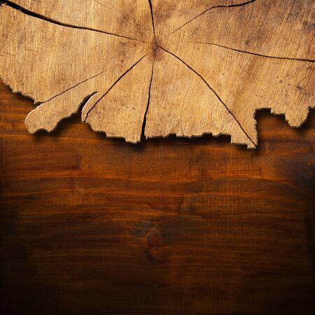 Wooden background with trunk section and shadowsの写真素材