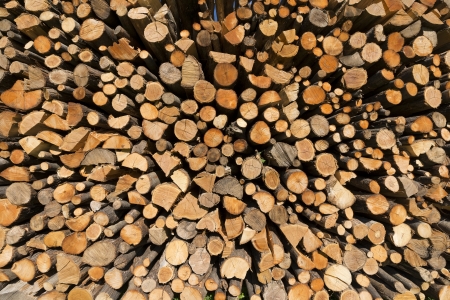 Background of dry chopped firewood logs in a pileの写真素材