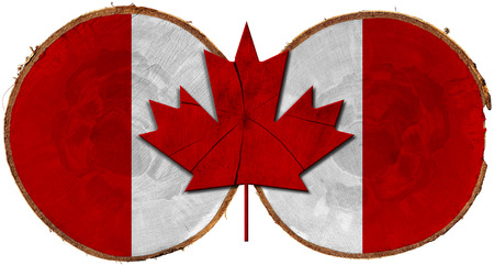 Flag of Canada on two section of tree trunks isolated on white backgroundの写真素材