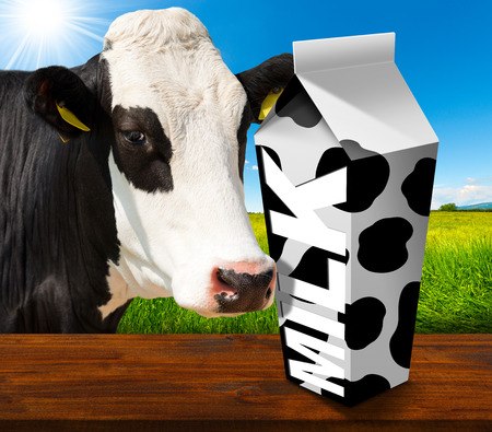 White packaging of fresh milk with text Milk and black spots, in a countryside landscape with green grass and a close up of a black and white curious cow.の写真素材