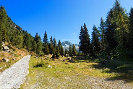 Trail in the National Park of Adamello Brenta and peak of Care Alto 3462 m. Trentino Alto Adige, Italyの写真素材