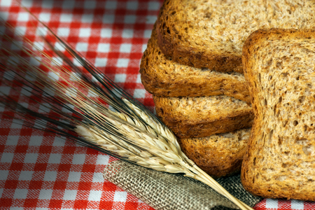 Detail of healthy rusks of wholemeal flour on a table with red and white checkered tablecloth and ears of wheatの写真素材