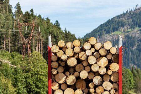 Close-up of a truck carrying wooden logs of pine trees in mountain, Italian Alps, Trentino Alto Adige, Italy Europeの写真素材
