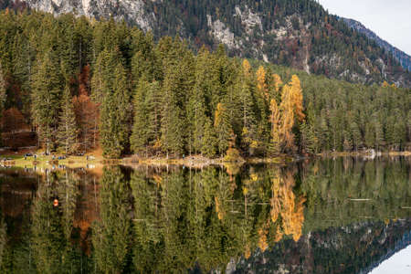 Lago di Tovel (Lake Tovel), Beautiful Alpine lake with forest in autumn, National Park of Adamello Brenta. Trentino Alto Adige, Trento province, Italy, Europe.の写真素材