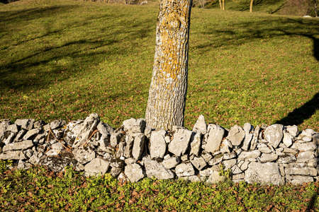 Fence made of stone wall, used to delimit grazing and cultivated fields in the Regional Natural Park of Lessinia Plateau, Veneto, Verona province, Italy, Europe.の写真素材