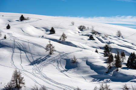 Winter Landscape of the Lessinia Plateau. Altopiano della Lessinia near Malga San Giorgio and Malga Gaibana, Regional Natural Park, Verona Province, Veneto, Italy, Europe.の写真素材