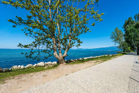 Bicycle and pedestrian lane on the coast of Lake Garda that connects the towns of Lazise, Cisano, Bardolino and Garda. Verona province, Veneto, Italy, Europe. On the horizon the coast of Lombardy.の写真素材