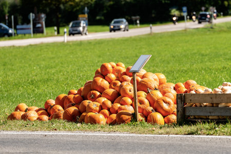 Harvest of a group of orange pumpkins for sale on a green grass, on the roadside - Bavaria, Germany,...