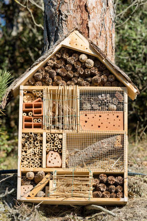 Insect House for the protection of biodiversity. Small shelter or nest made from natural and...