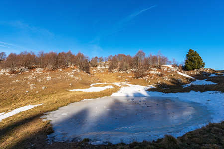 Small frozen lake for cows on Lessinia Plateau, Regional Natural Park. On background group of bare...