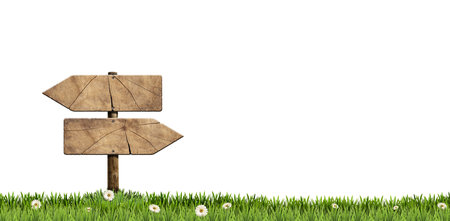 Two empty wooden directional signs (arrows) with pole on a green meadow with flowers, green grass and daisy flowers, isolated on white background.の写真素材