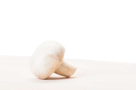 One fresh champignon mushroom on a wooden board with white backgroundの写真素材