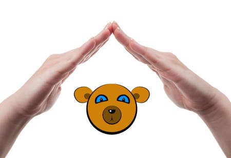 Hands protecting a cute but wild bear concept on white backgroundの写真素材