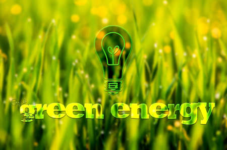 Green Energy concept with text and light bulb on green grass backgroundの写真素材