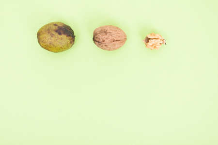Close-up of kernel and whole walnuts on green background with advertising area as wholesome food conceptの写真素材