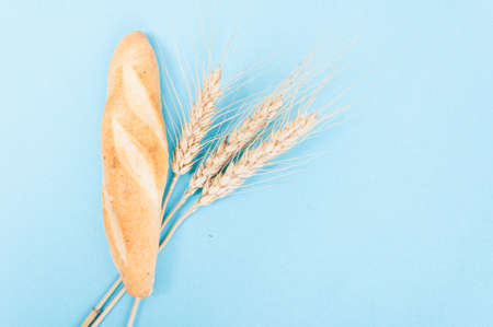 Healthy bread and wheat on blue background with advertising area as traditional bakery conceptの写真素材