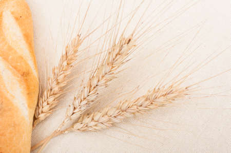 Close-up of fresh bread and wheat as natural ingredients conceptの写真素材