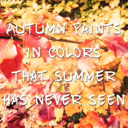 Inspirational and motivational quote about autumn on background with colored foliage and filter appliedの写真素材