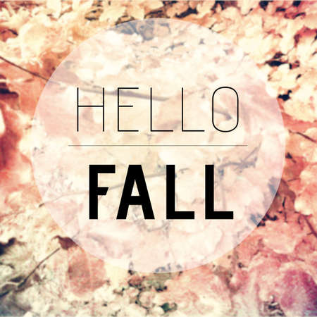 Hello fall text on blurred background with colorful leaves on the groundの写真素材