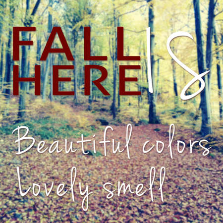 Inspirational and creative quote-fall is here, beautiful and lovely smell on background with forestの写真素材