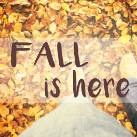 Inspirational typographic quote about fall on blurred background with person and lots of leavesの写真素材