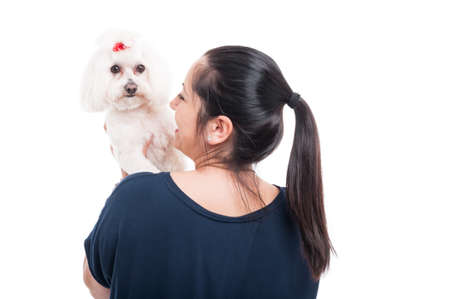 Back view of female with her beautiful purebred bichon on white backgroundの写真素材