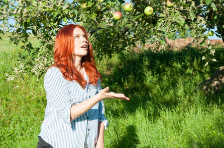 Beautiful female standing among the apple trees with organic fruits on it
