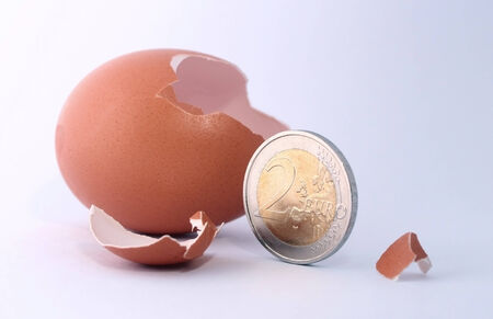 1 euro coin getting out of cracked hatched egg. Symbol for economy, business, income, banking, financeの写真素材
