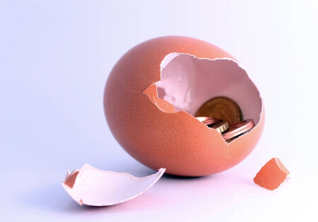 Euro coins sitting inside cracked hatched egg. Symbol for economy, business, income, banking,...