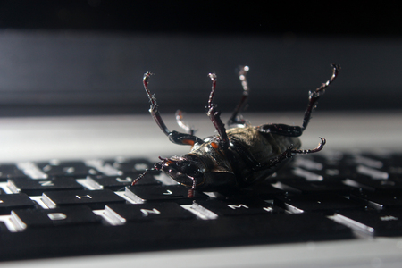 Dead bug on laptop keyboard. Symbol of antivirus, debugging, software optimizationの写真素材