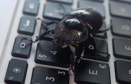 Bug on laptop keyboard. Symbol of antivirus, debugging, software optimization