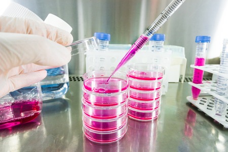 Cancer research