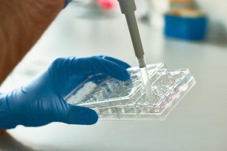 Scientist pipetting liquids for researchの写真素材