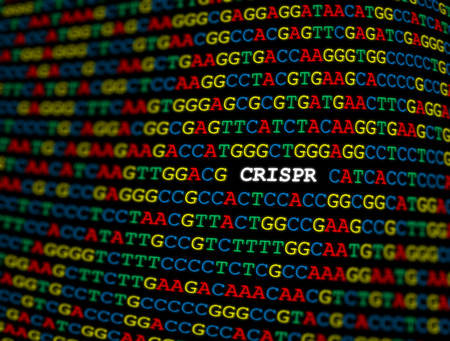 CRISPR locus on DNA sequence