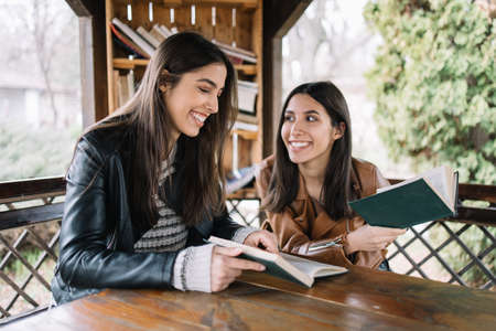 Brunette sisters holding books and laughing in pavilionの写真素材