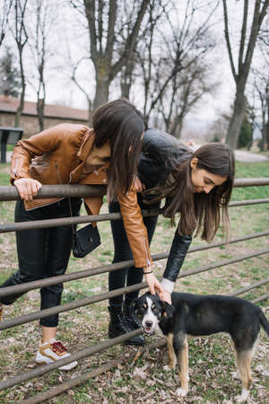 Two girls caress dog in the parkの写真素材