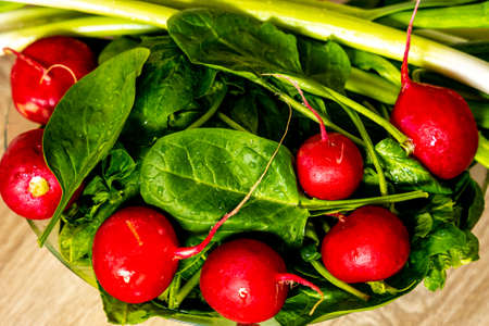 Top view of fresh salad ingredients in bowl. Fresh green onion in bowl with radishes and spinach.