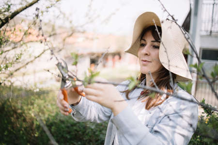 Lady standing in garden and trimming treesの写真素材