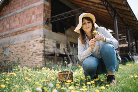 Smiling woman squatting on meadow with yellow flowersの写真素材