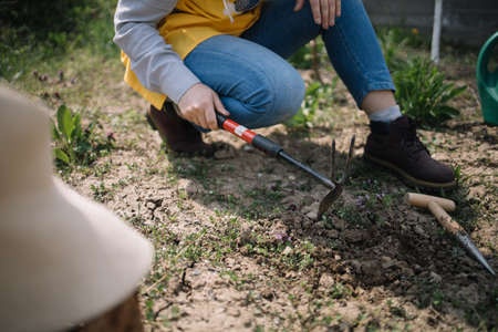 Cropped woman digging the soil using fork and mattock. Close-up view of female hands digging with fork and mattock in vegetable garden.の写真素材