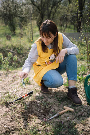 Girl with hand trowel gardening in vegetable gardenの写真素材