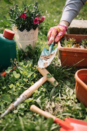Female hand holding garden shovel over gardening tools. Hand of female gardener with shovel over flowers, pots, watering can and seeder in the garden.の写真素材