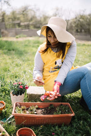 Young woman sitting in garden and looking at her phone. Girl with sun hat holding smartphone over pots with flowers while sitting on a stone in the garden.の写真素材