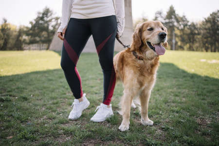 Cropped woman dressed with sportswear holding leash of a dog. Female legs in sport pants standing in...