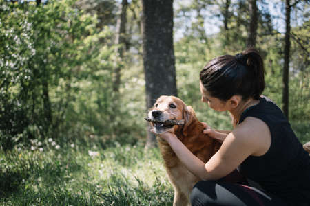 Cute dog eating wood crust while standing in nature. Side view of girl squatting in forest and playing with her dog who is having wood bark in the mouth.の写真素材