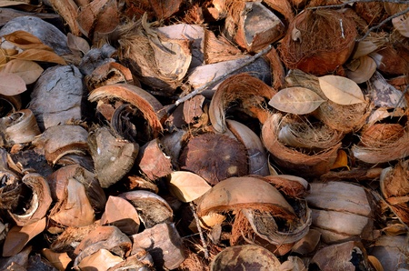 A background made of broken brown coconutsの写真素材